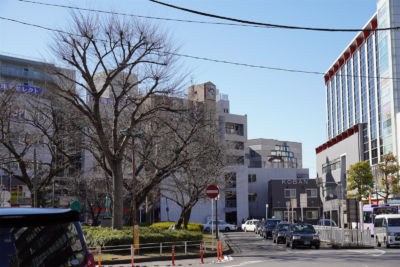 Школа японского языка Matsudo International — фото 10