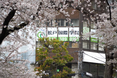Школа японского языка Matsudo International — фото 12