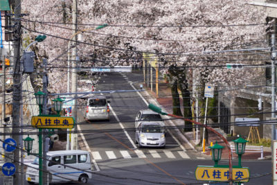 Школа японского языка Matsudo International — фото 11