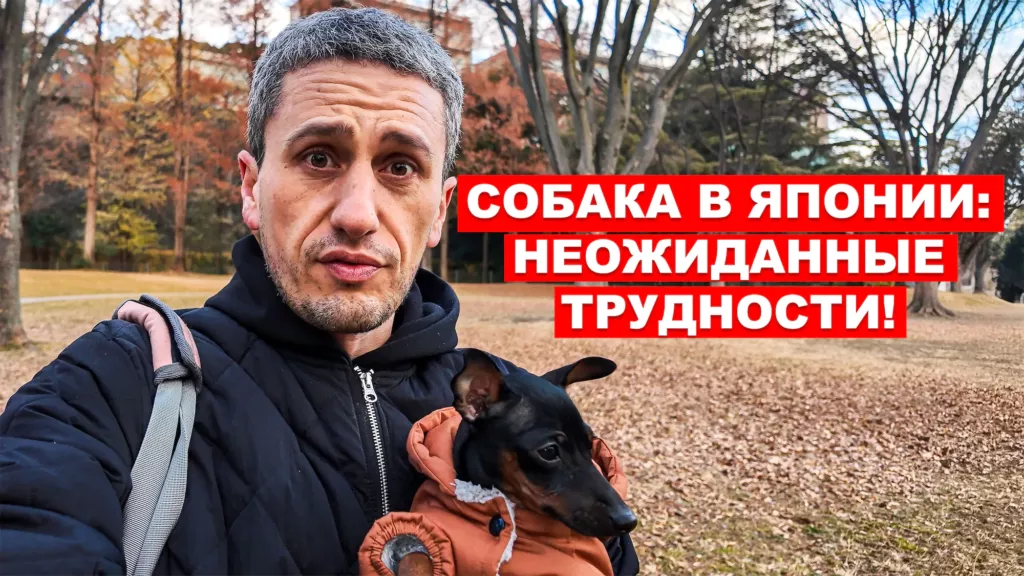 собака